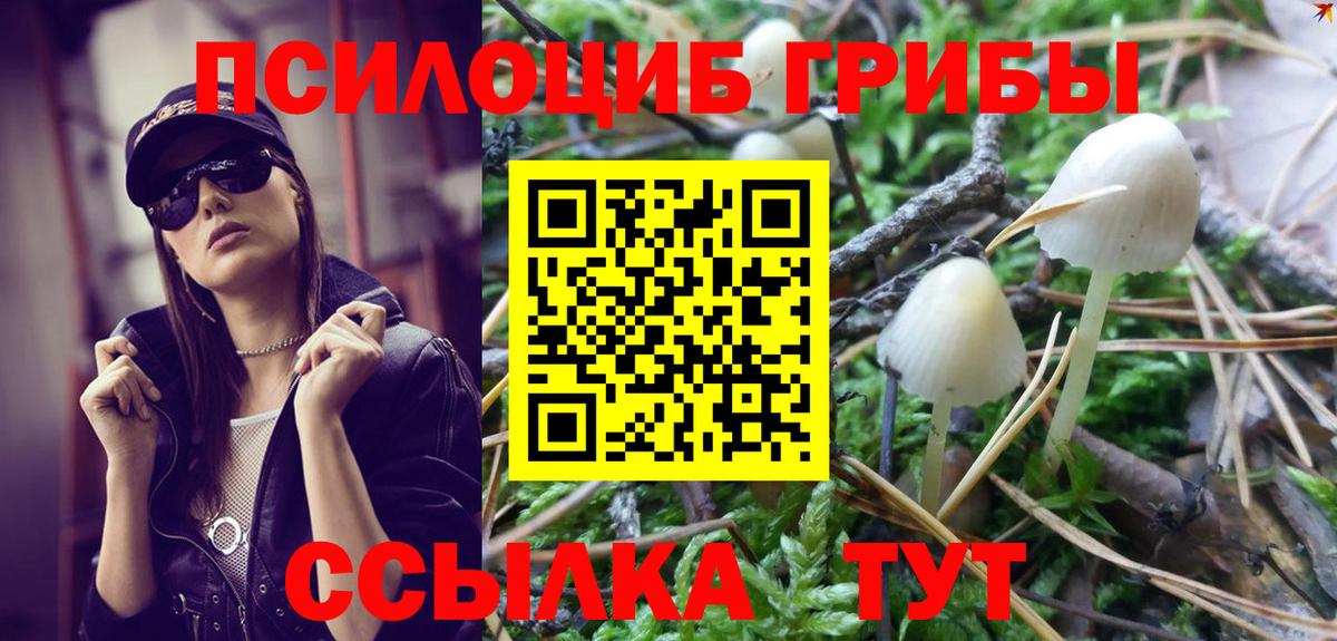 Псилоцибиновые грибы Cubensis Якутск