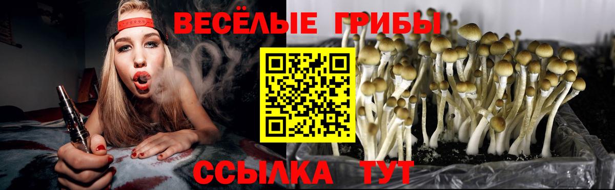 Якутск  Псилоцибиновые грибы мицелий  Галлюциногенные грибы мухоморы  Вход с VPN 